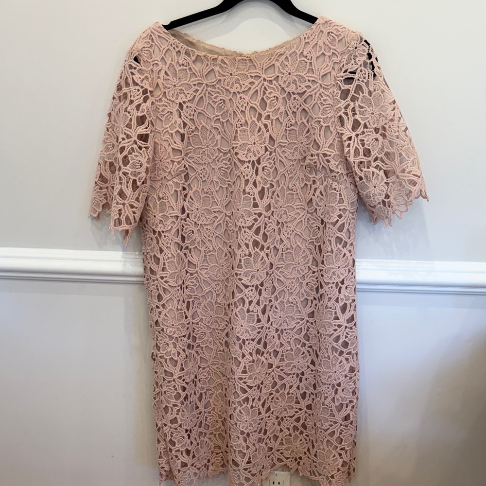 Lord & Taylor Blush Lace Midi Dress